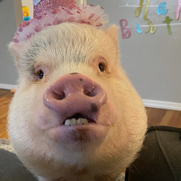 Why I Posh - Picture 15 of 16